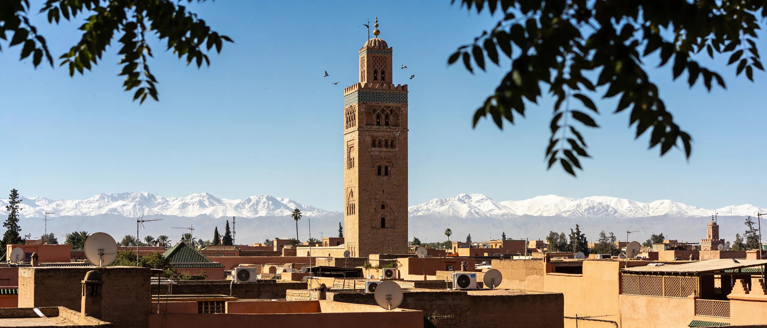 Koutoubia minaret under a blue sky with the snow-capped Atlas behind Marrakech